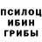 Галлюциногенные грибы мухоморы MN 1206