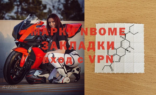 стафф Дмитриев